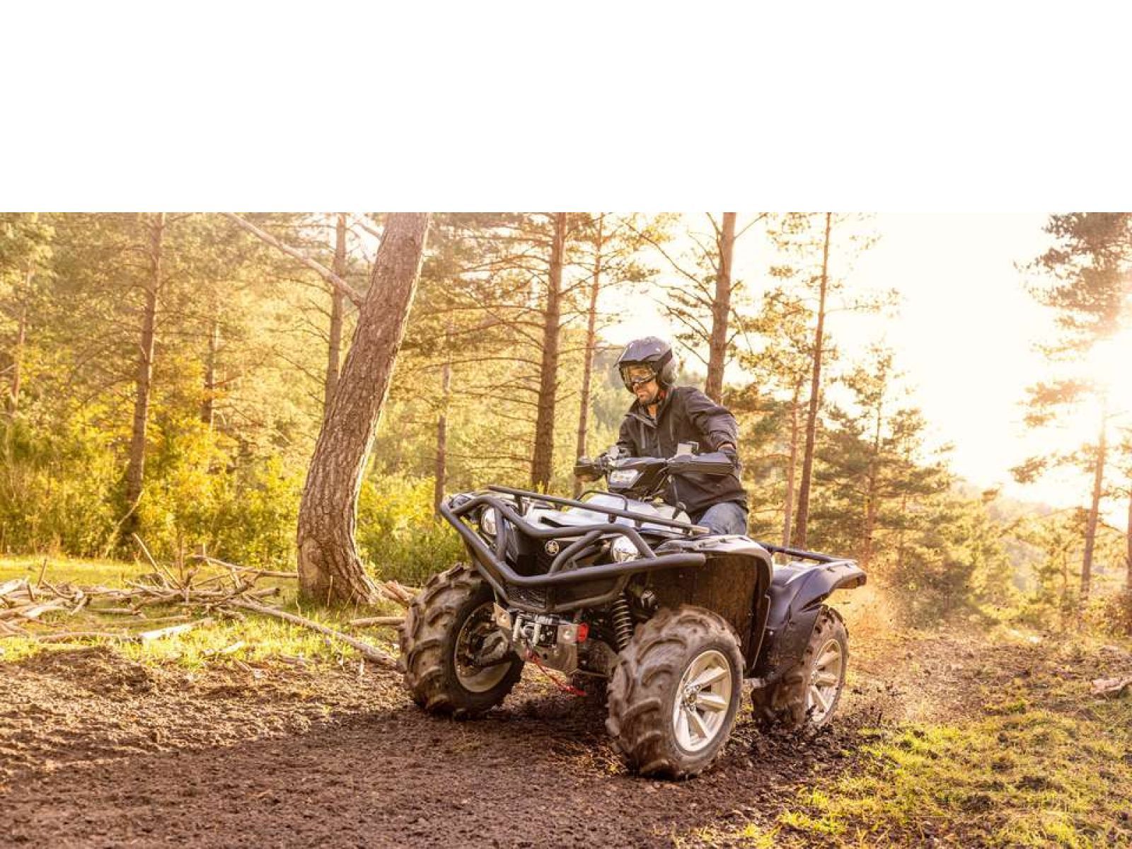 Мотовездеход ATV YAMAHA Grizzly 700 EPS SE 25 TH Anniversary (Low Gloss Black) 2024